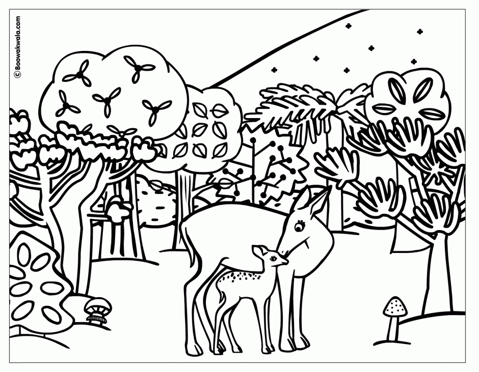 forest animal coloring page
