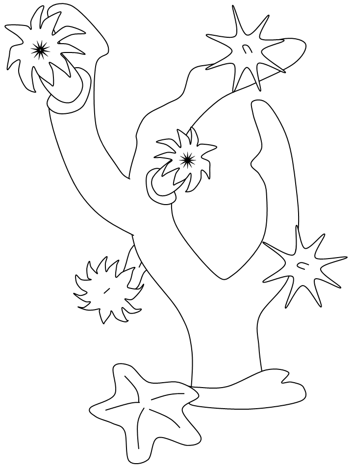 sea weeds colouring pages