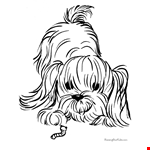 Maltese Dog Coloring Page