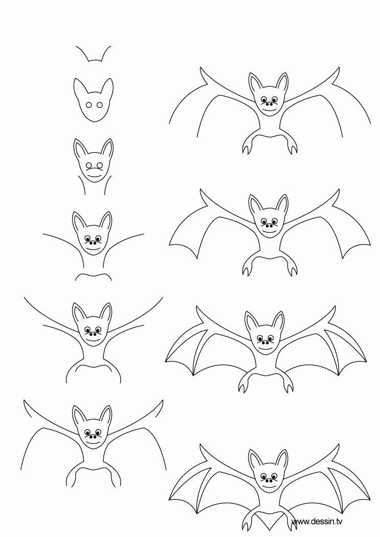 drawing bat