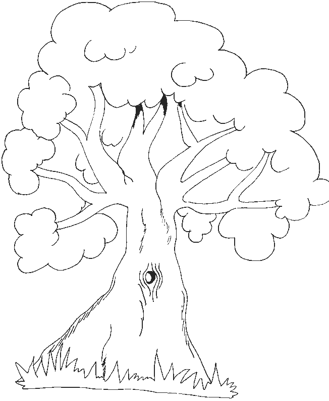 tree trunk coloring pages 189 | free printable coloring pages