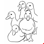 BlueBonkers: Duck Family Coloring Page Sheets    Easter  
