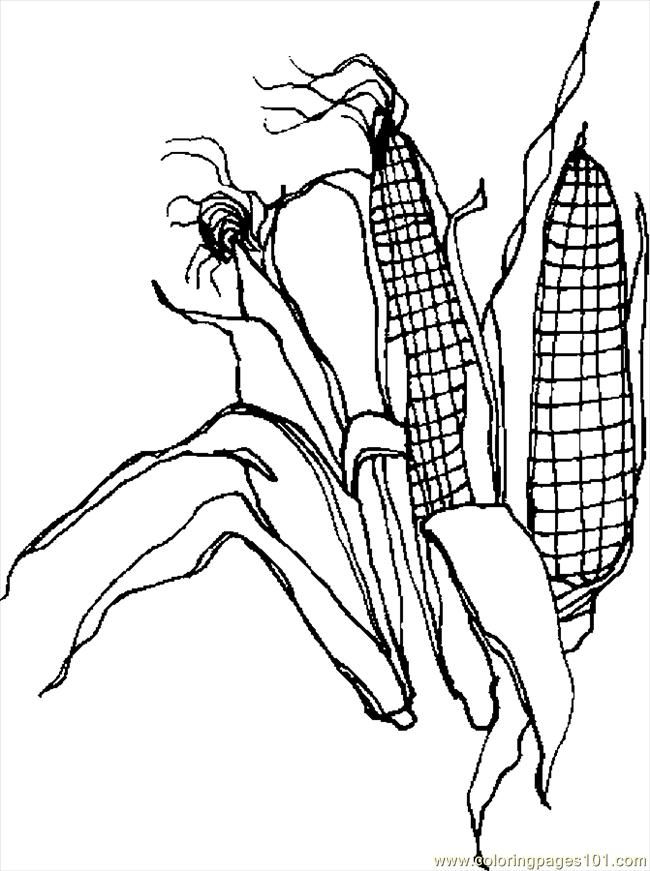 coloring pages corn 2 (holidays &gt; thanksgiving day) - free 
