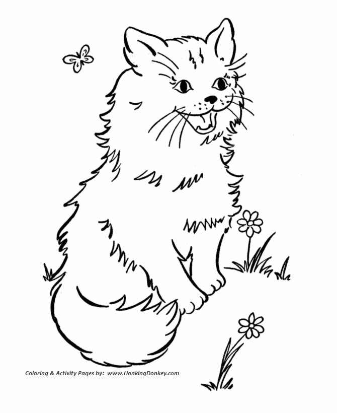 cat cartoon drawing sheet