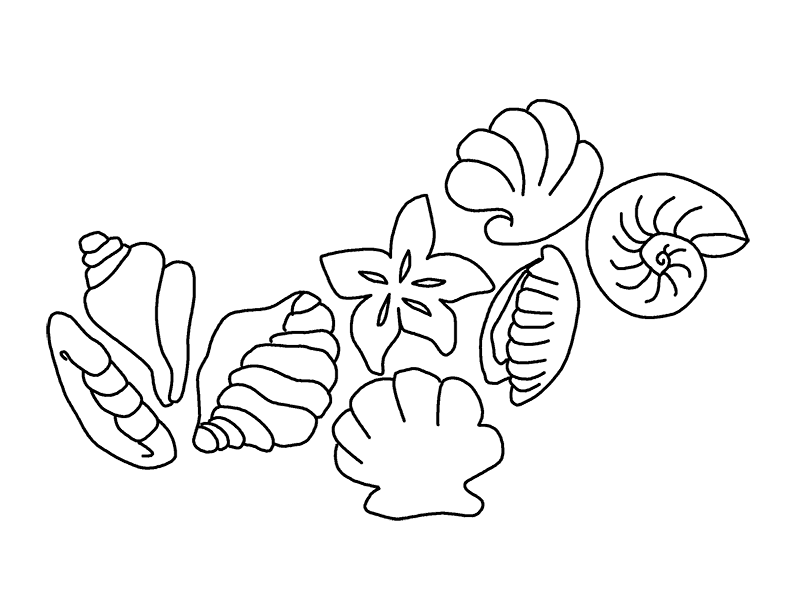 seashells coloring pages - free printable coloring pages | free 