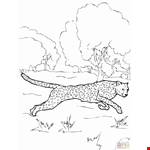 Leopard Cheetah Coloring Page