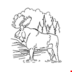 Bull Moose Coloring Page