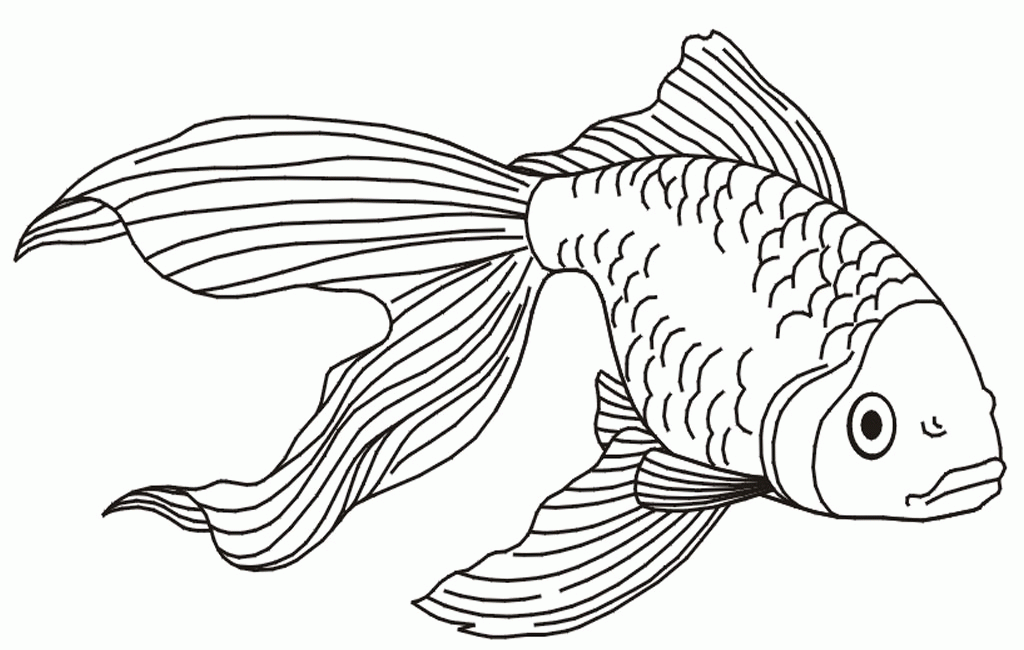 educational goldfish coloring pages realistic creativity 