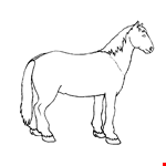 Wild Horse Drawing Sheet