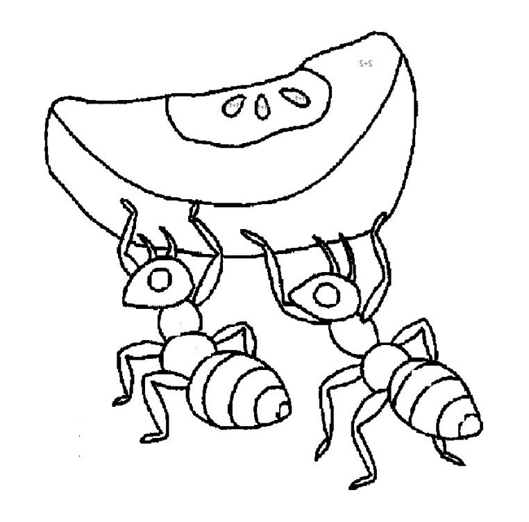 ant coloring pages : printables ant with slice apple coloring page 