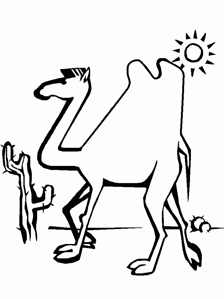 coloring page - camel coloring pages 5