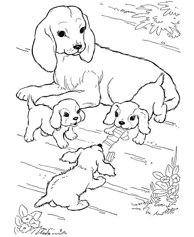cow coloring page | coloring picture hd for kids | fransus.com957 