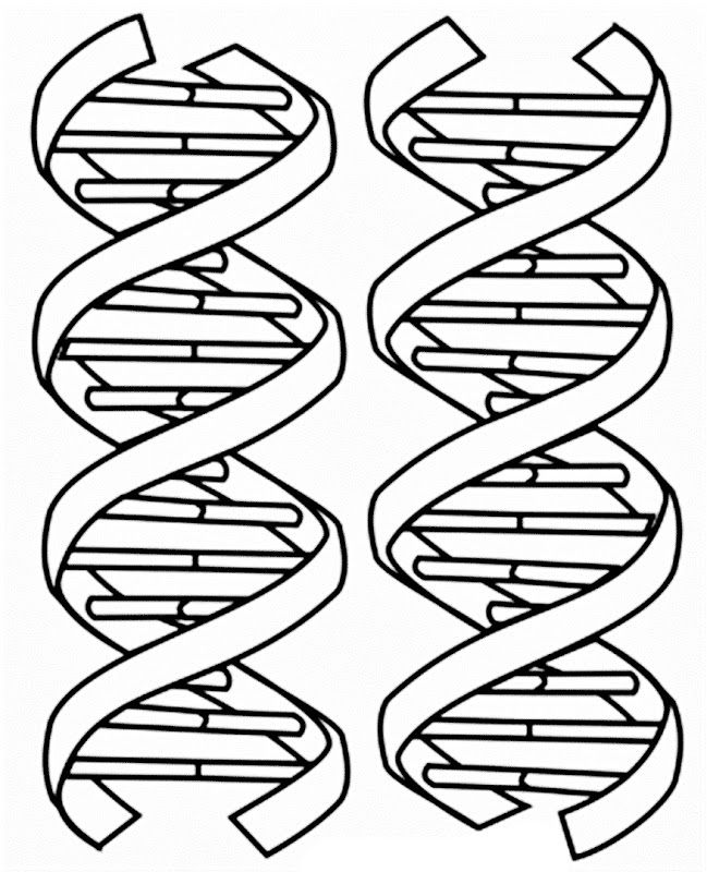 images of dna coloring pages | coloring pages