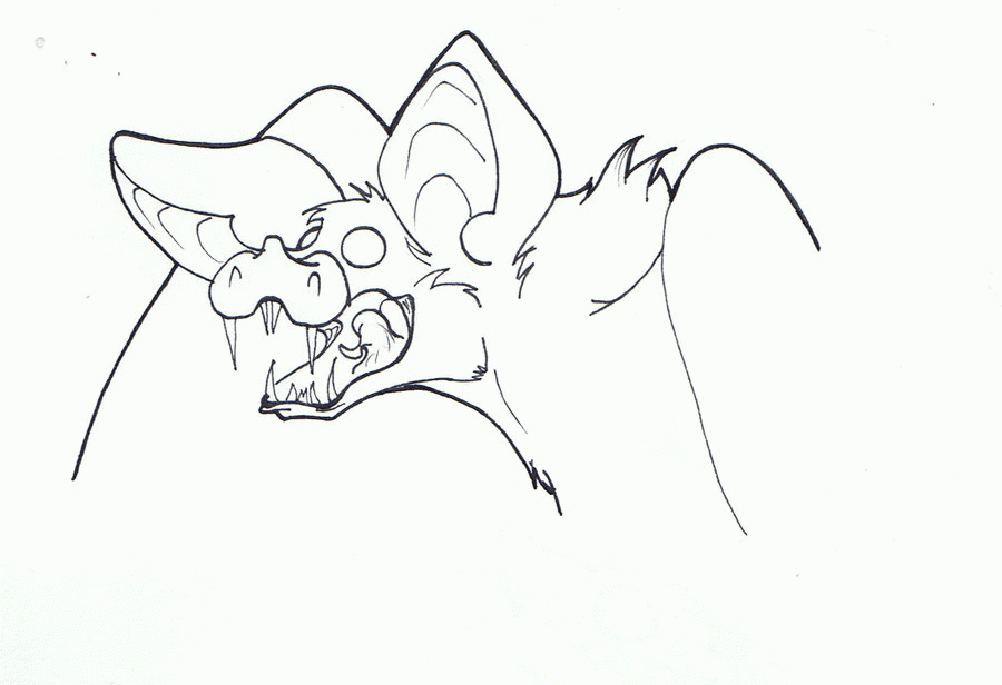 vampire bat sketch by clockworkmonster on deviantart