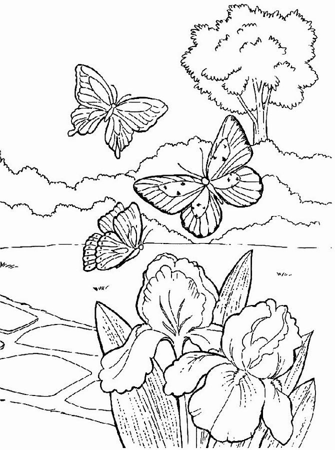 spring flowers coloring pages 5 spring flowers coloring pages 