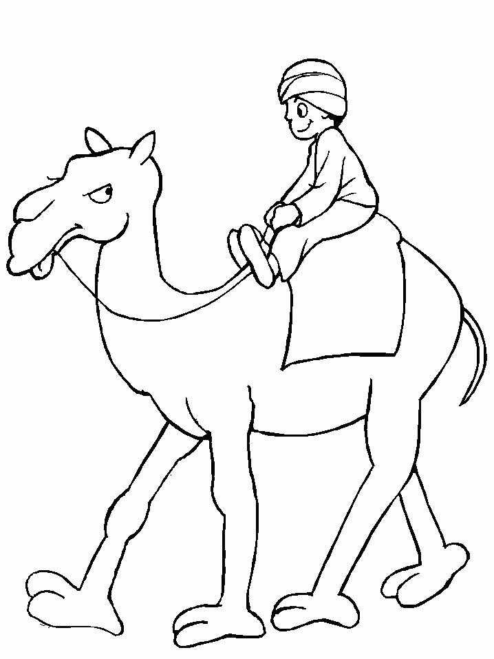 camels-coloring-pages-760.jpg