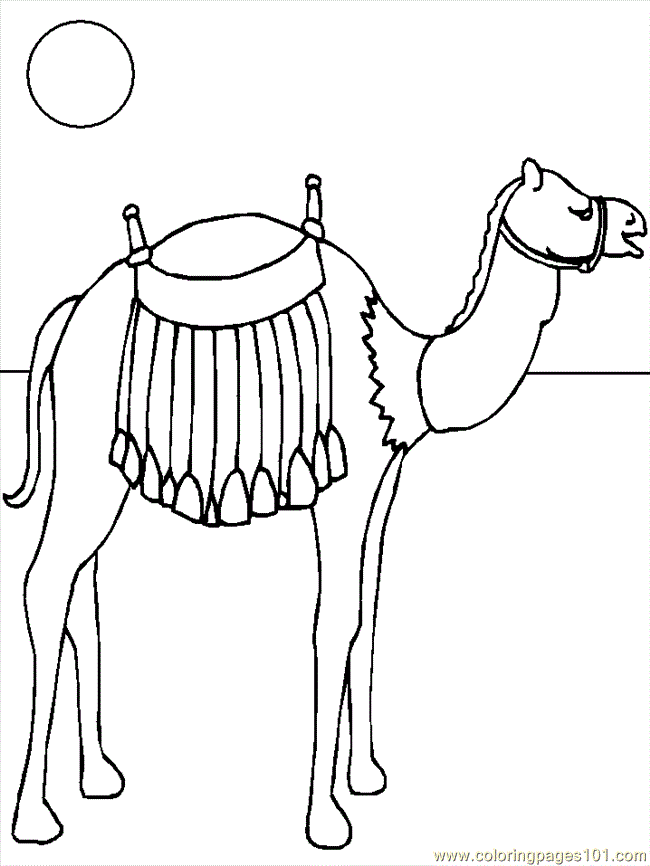 coloring pages camel (mammals &gt; camel) - free printable coloring 