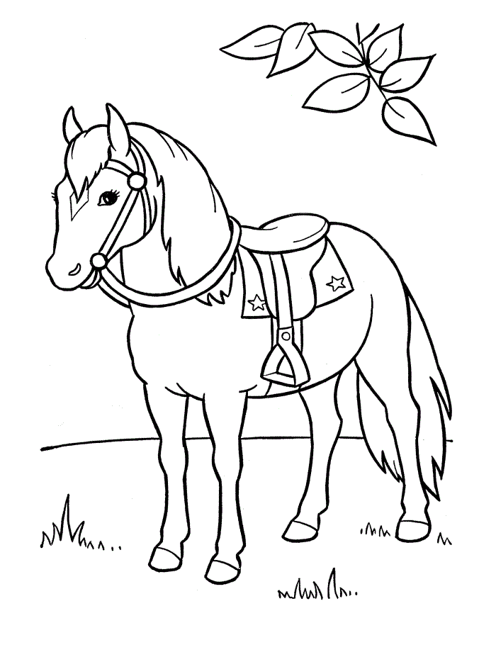 horseland drawing sheet