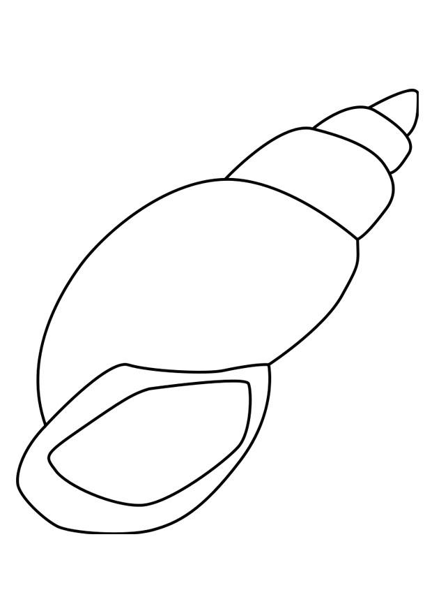 coloring page snail shell - img 27183.