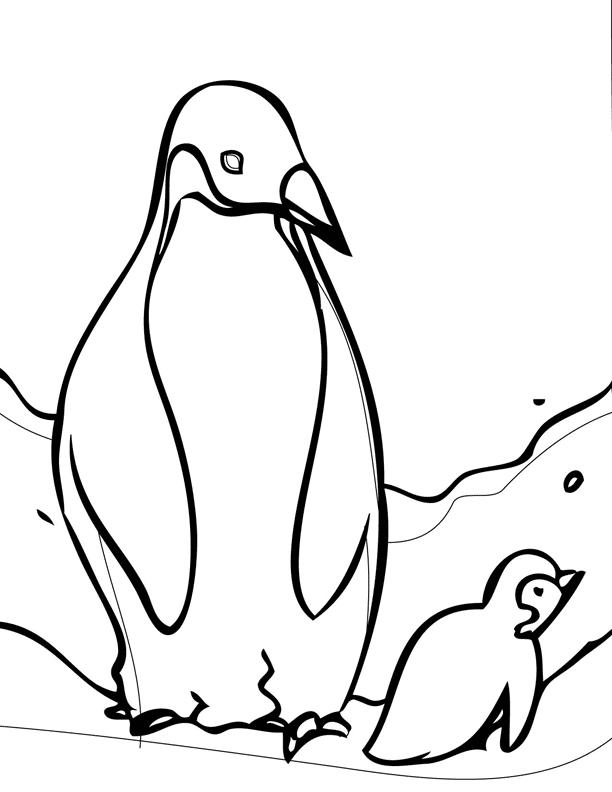 download coloring pages for kids penguin animals or print coloring 