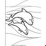 Printable Dolphin Coloring Pages Free Printable Dolphin Coloring  
