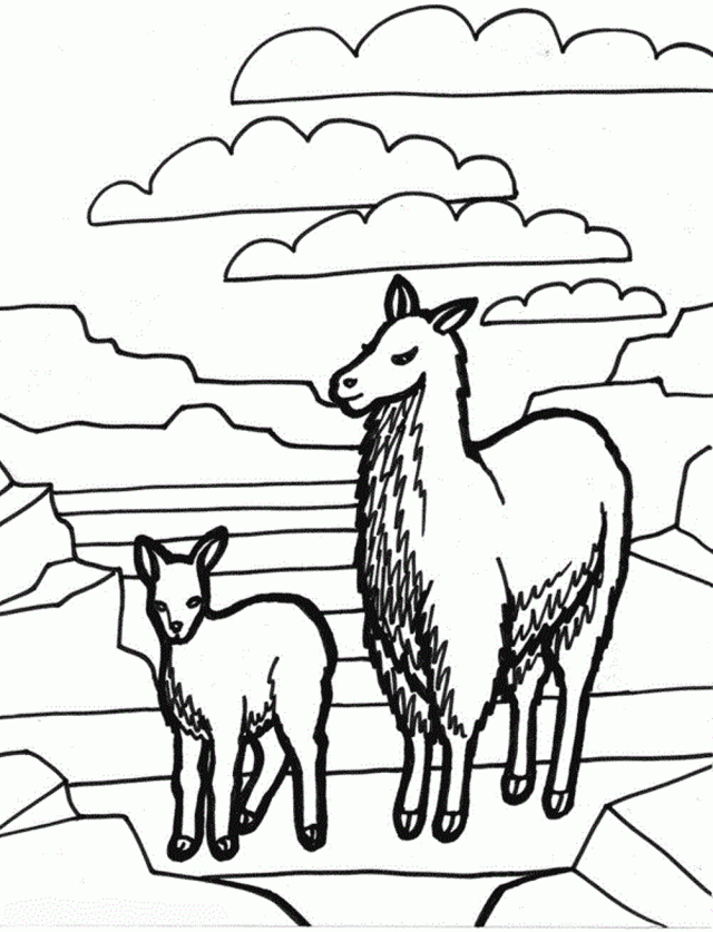 download mother and baby llama print coloring pages or print 