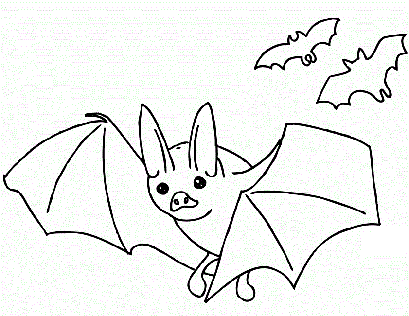 bat coloring pages printable | coloring picture hd for kids 