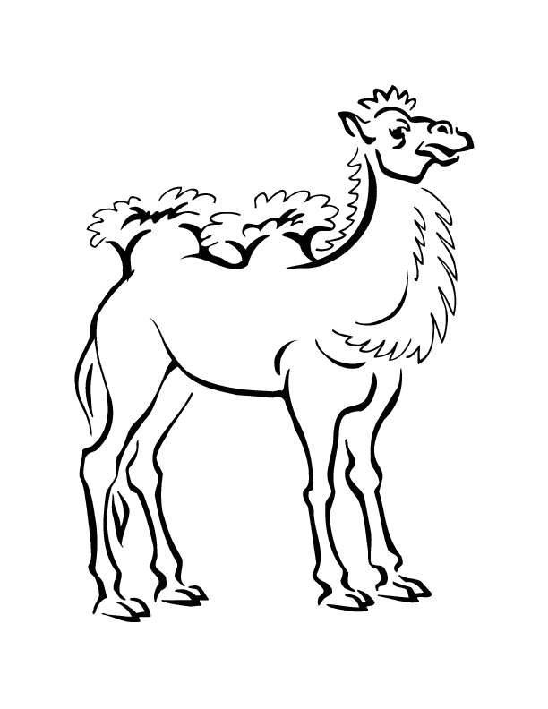 camel printable coloring in pages for kids - number 2829 online