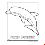 Amazon River Dolphin Coloring Page - Animals Town - Animals Color  
