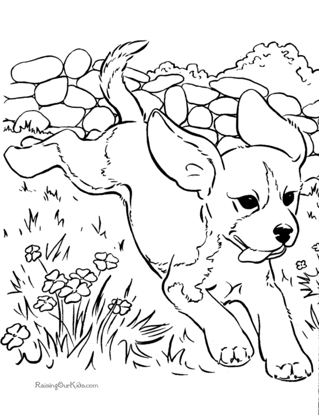 printable dog pictures to color