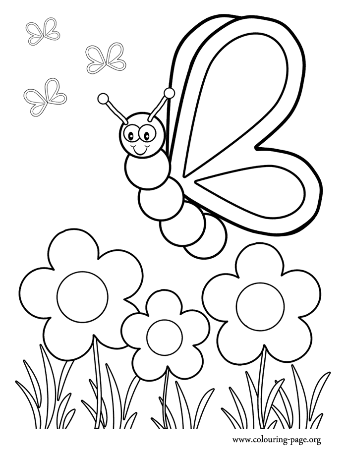 butterfly drawing sheet