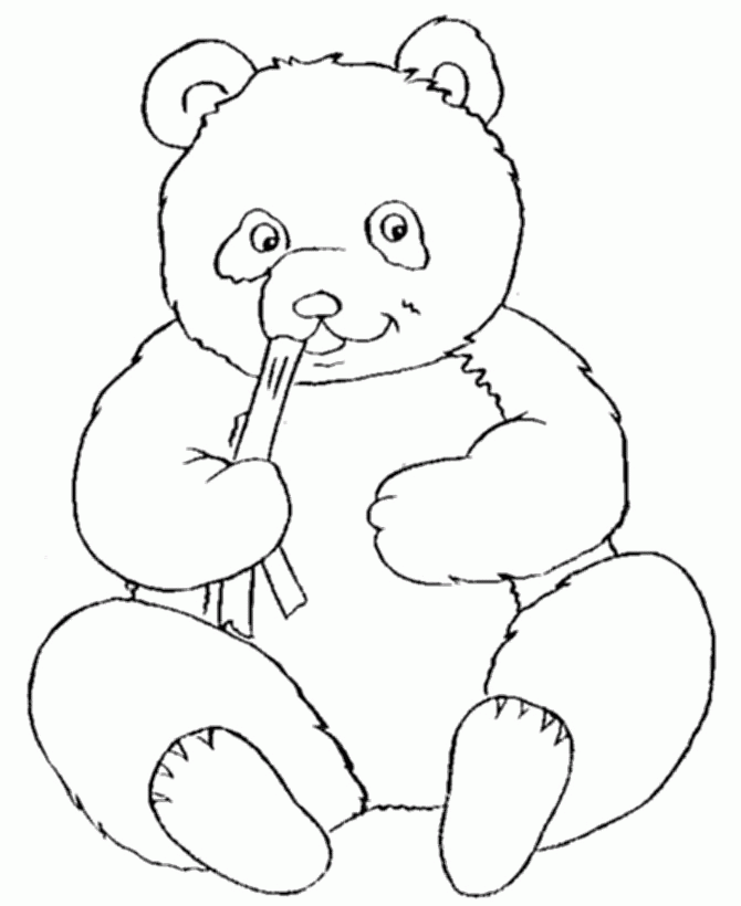 bear coloring pages for kidsfun coloring | fun coloring