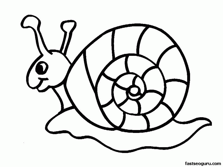 snail coloring book