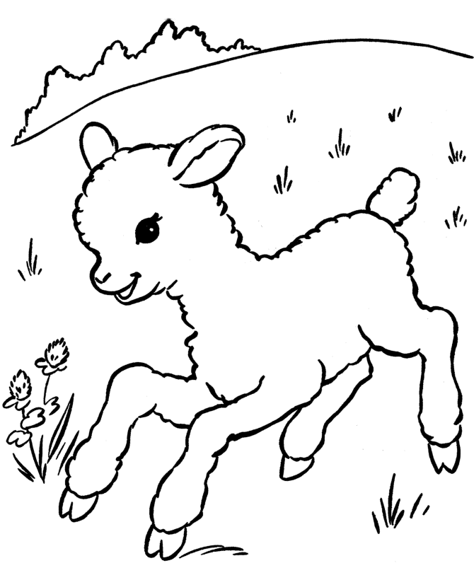 easter lamb color drawing