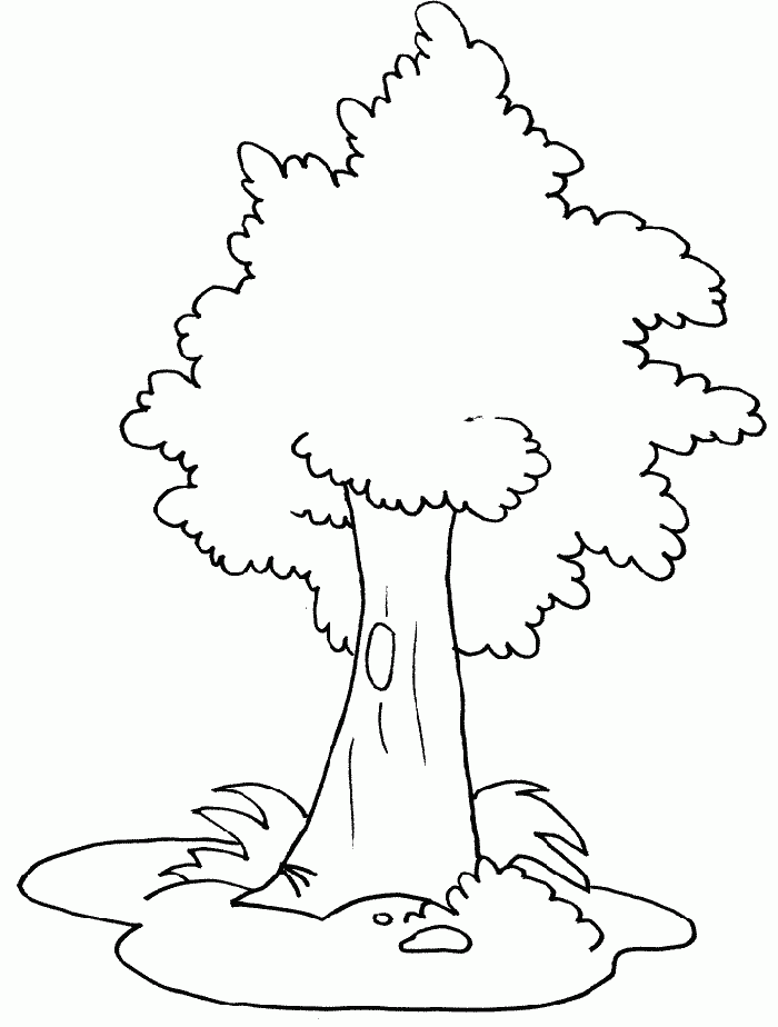 tree roots, trunk colouring pages (page 2)