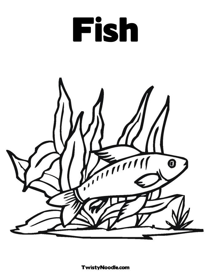 sea-weed colouring pages (page 2)