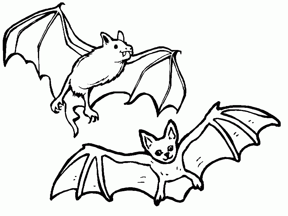 bat pictures to print | coloring picture hd for kids | fransus 