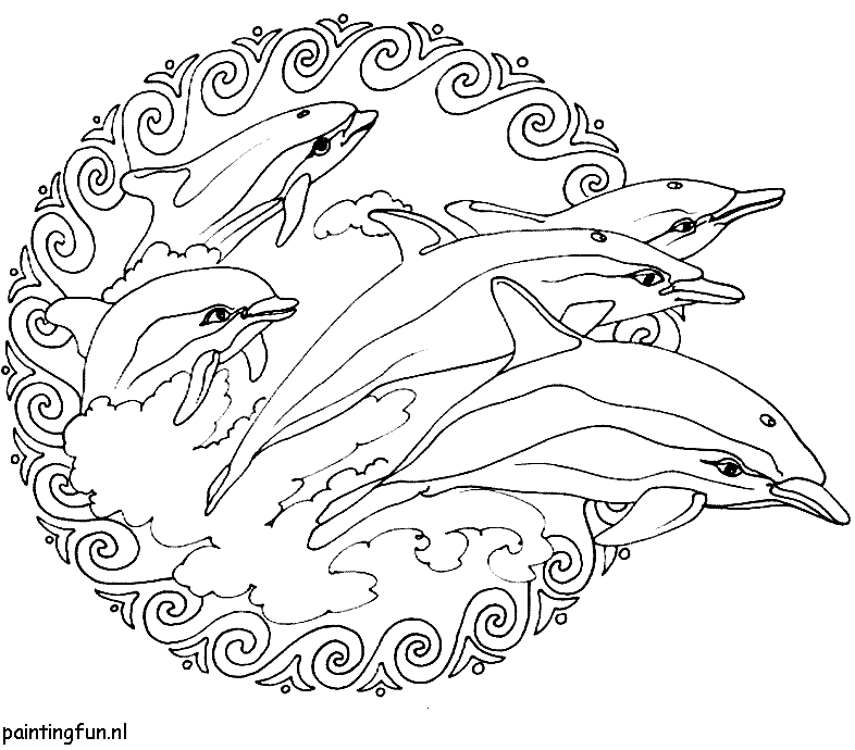 mandala -kleurplaat- kleurplaten -dolfijnen, dolphins, dolfijn 
