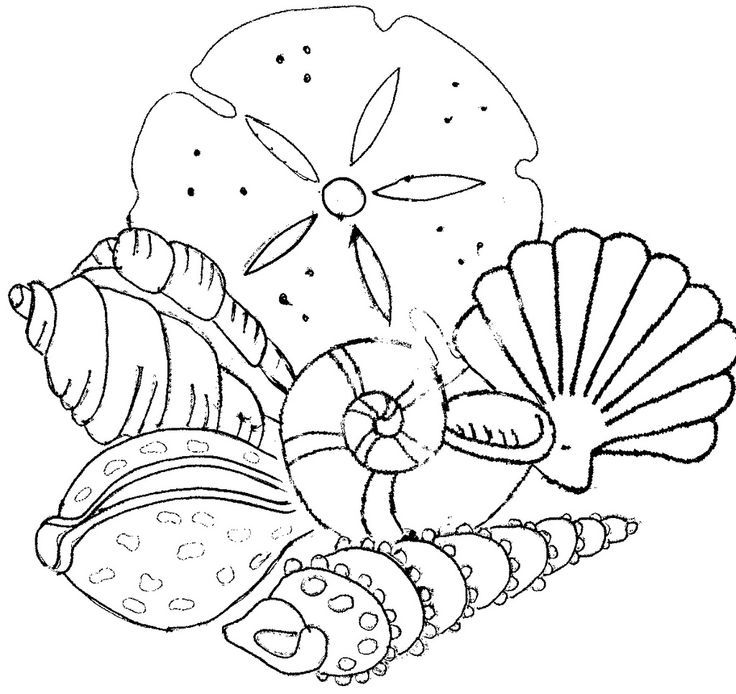 seashells - embroidery pattern | to remember and ponder