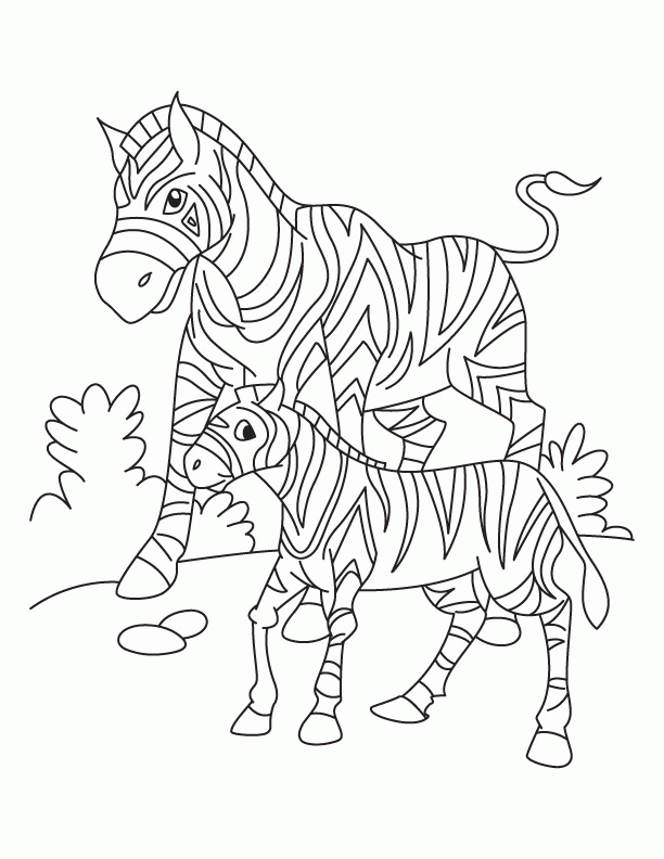 zebra coloring sheet