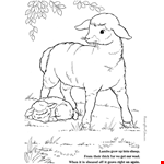 Lamb Cartoon Drawing Sheet