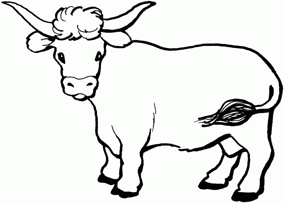 coloring pages striking cow coloring pages coloring page id 175591 