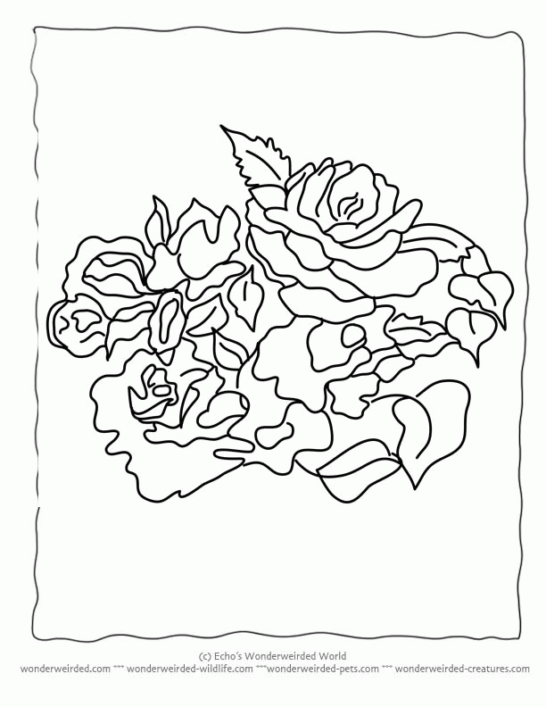rose flower clourings