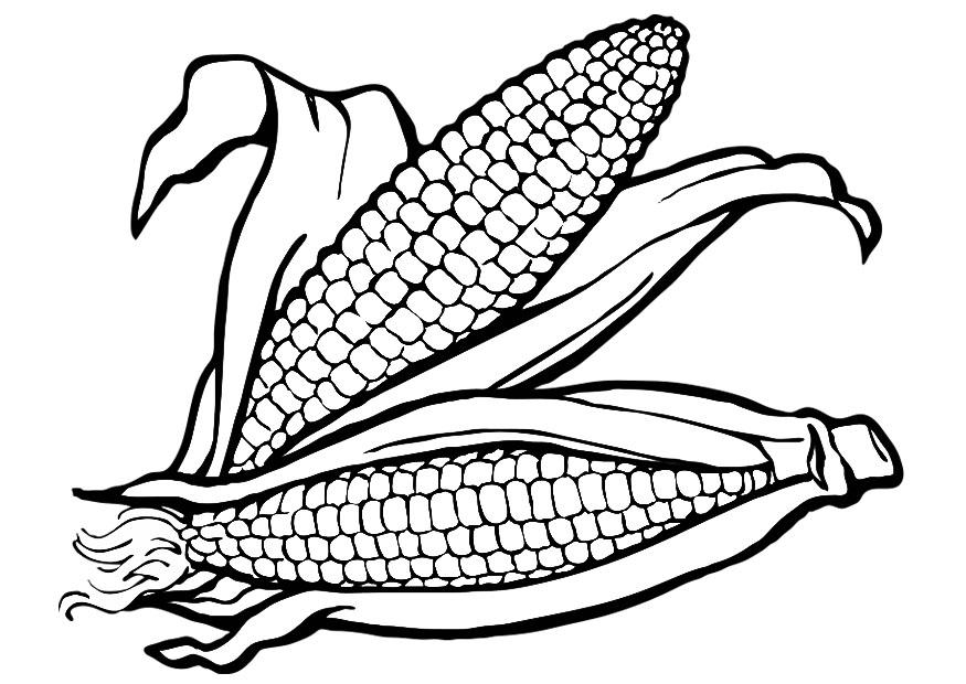 coloring page corn - img 19177.