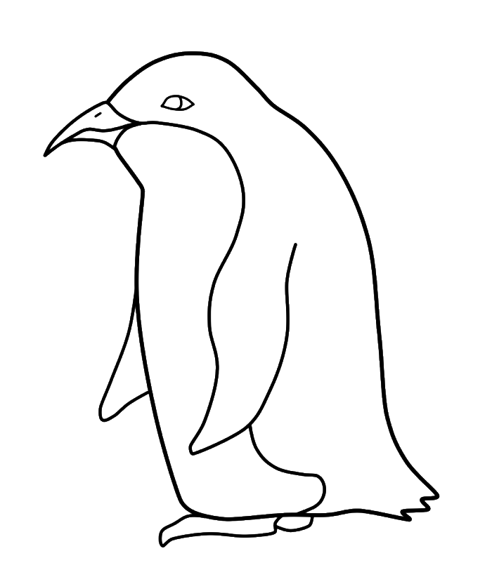 pictures penguin coloring for kids - penguin coloring pages : free 