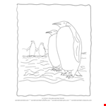 Penguin Coloring Page, Echo&#;s Penguin Coloring Pictures For Animal  