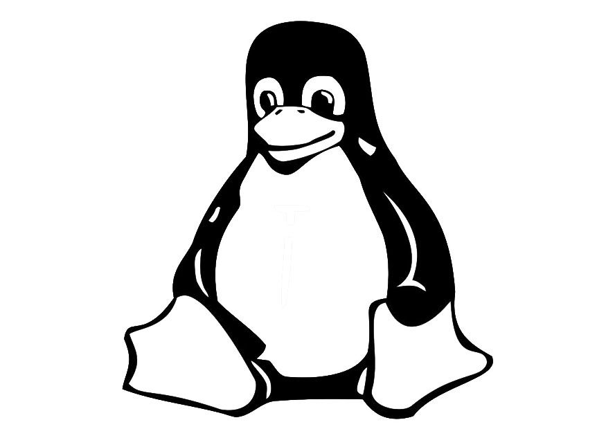 sitting penguin coloring page | kids coloring page