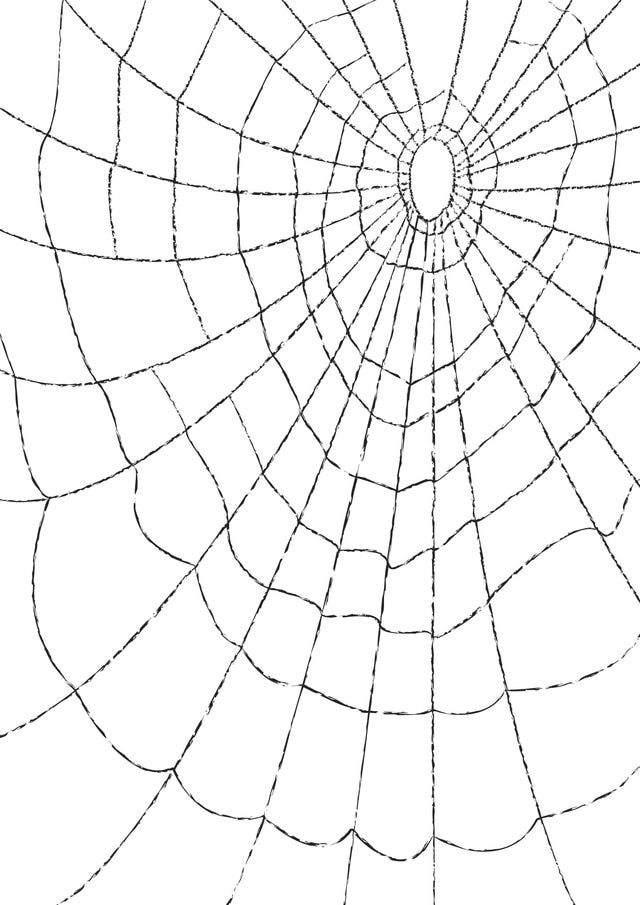 spiderman web printable drawing