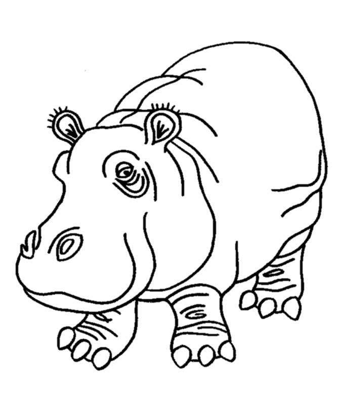 hippopotamus coloring page