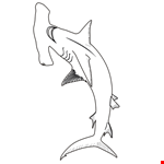 Hammer Head Shark Coloring Page